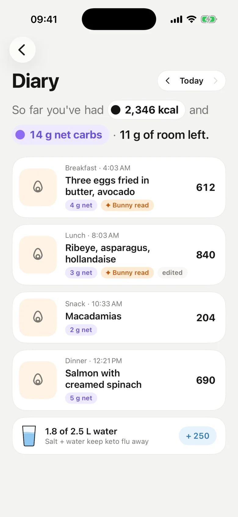 Diary showing 14 g net carbs and 11 g of room left